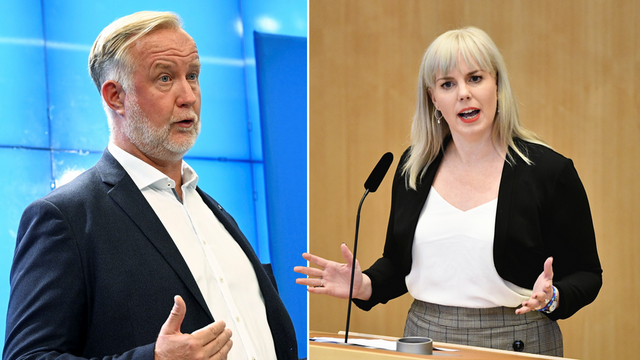 Linda Snecker menar att Liberalernas förslag innebär att barn tvångsomhändertas om de inte talar perfekt svenska. Foto: Henrik Montgomery/Fredrik Sandberg/TT