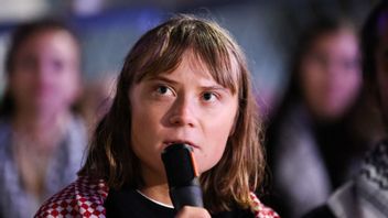 Greta Thunberg portades från Venedig i 48 timmar. Foto: Caisa Rasmussen/TT