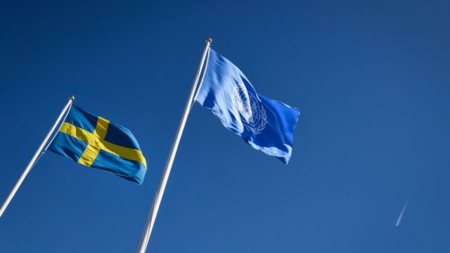 FN ska granska Sverige för att se om konventionen gällande avskaffande av olika former av diskriminering efterlevs. Foto: Johan Nilsson/TT