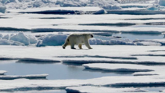 Den arktiska rutten anses betydligt tryggare. Foto: David Goldman/AP/TT