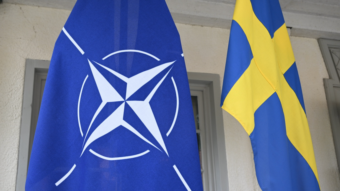 Natos flagga och Sveriges flagga utanför Hapsund. Foto: Henrik Montgomery/TT