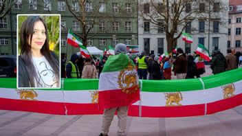 En demonstrant bär Irans förrevolutionära flagga, med Pahlavidynastins lejon. Photo credit: 
