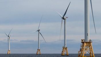 Bottenfast havsvindkraft till havs. Flytande havsvindkraft används istället på djupare vatten där fasta fundament inte är praktiska. Foto: Julia Nikhinson/AP/TT.