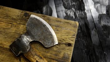 Yxattack mot polis resulterade i tio års fängelse. Foto: Henrik Montgomery//TT