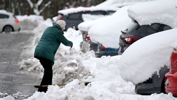 Foto: Janerik Henriksson/TT