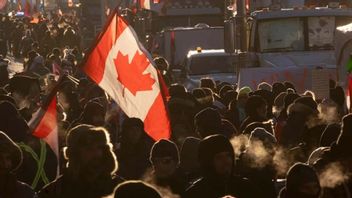 Protester i Kanadas huvudstad Ottawa. Foto: Adrian Wyld/AP/TT