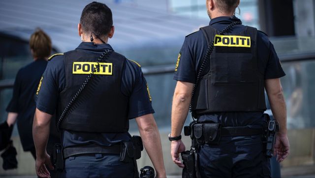 Danska poliser har fullt upp med svenska ungdomsbrottslingar Foto: Johan Nilsson/TT