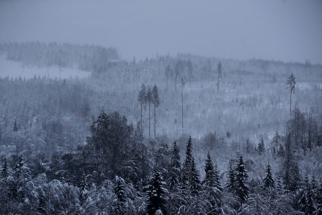 Grön investering eller inte?
Foto: Mats Andersson/TT