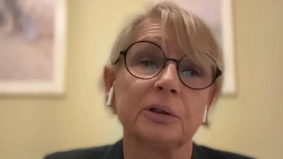 Tidigare partisekreteraren Pernilla Zethraeus (V). Foto: Skärmdump/SVT