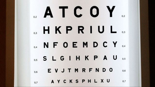 Foto Genrebild. Foto: Åsa Westerlund / SvD / SCANPIX