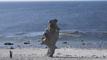 Raukar på Fårö. Arkivbild. Foto: Fredrik Sandberg/TT.