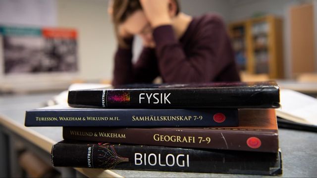 Arkivbild. Foto: Henrik Montgomery/TT