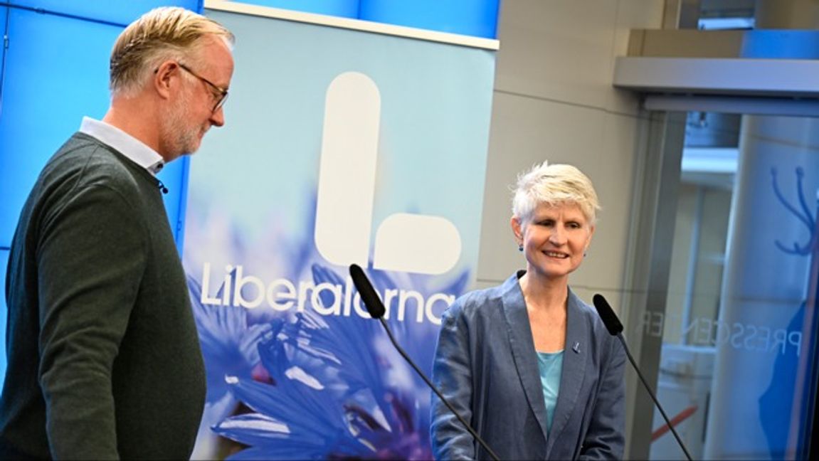 Huvudvärk för partiledaren Johan Pehrson. Värvningen av förra moderata EU-parlamentarikern Anna Maria Corazza Bildt har inte hittills resulterat i någon kraftig uppgång i opinionsmätningarna inför EU-valet. Foto: Pontus Lundahl/TT