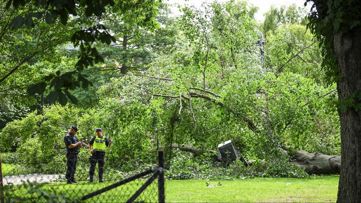 Ett stort träd har fallit i Berzelii park vid Nybroplan i centrala Stockholm. Två personer har skadats lindrigt i samband med att trädet föll, uppger polisen.