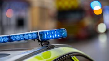 Flera personer har dött vid polisingripanden. Foto: Johan Nilsson/TT