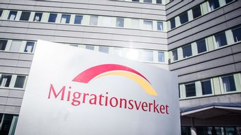 Färska siffror från Migrationsverket. Foto: Adam Wrafter/SvD/TT