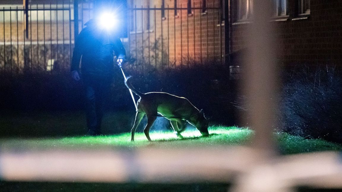 Polis med specialsökhund arbetar innanför avspärrningarna efter ett misstänkt mordförsök i Söderkulla i Malmö på fredagskvällen. Foto: Johan Nilsson/TT.