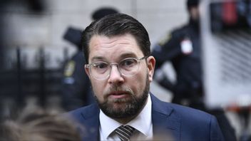 Sverigedemokraternas partiledare Jimmie Åkesson. Foto: Lars Schröder/TT