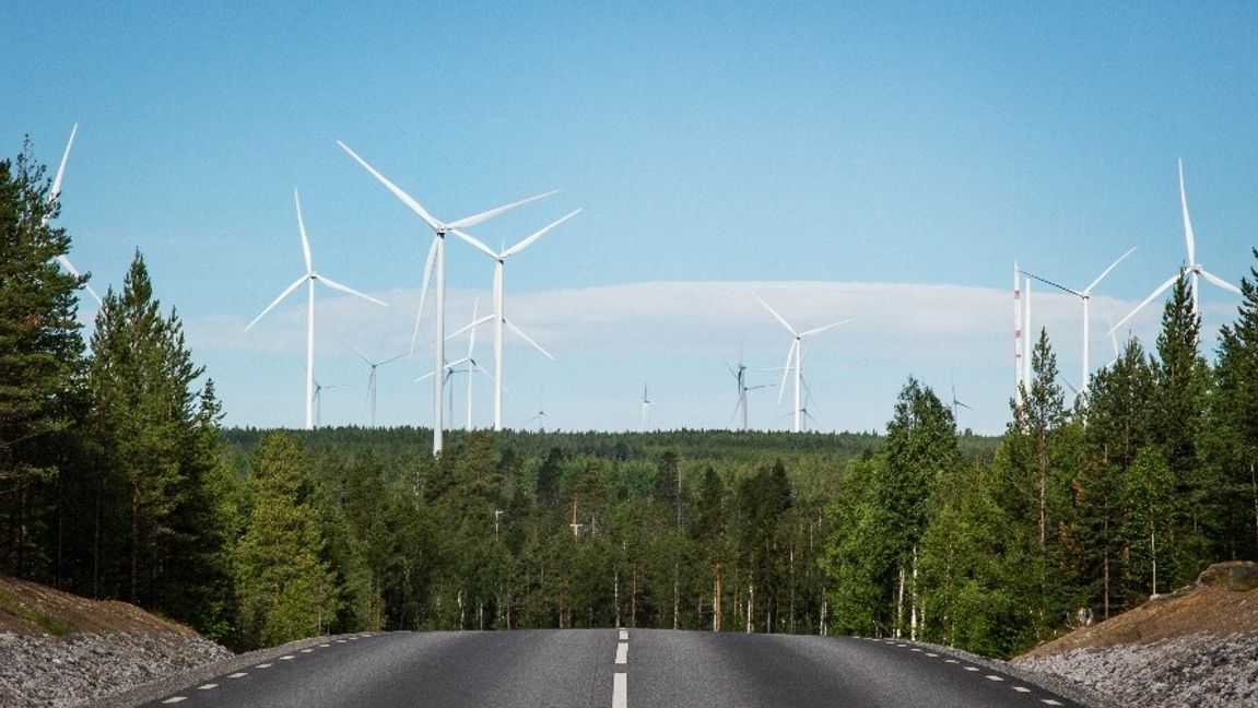Vindkraftverk i Markbygden, Piteå. Foto: Helena Landstedt/TT