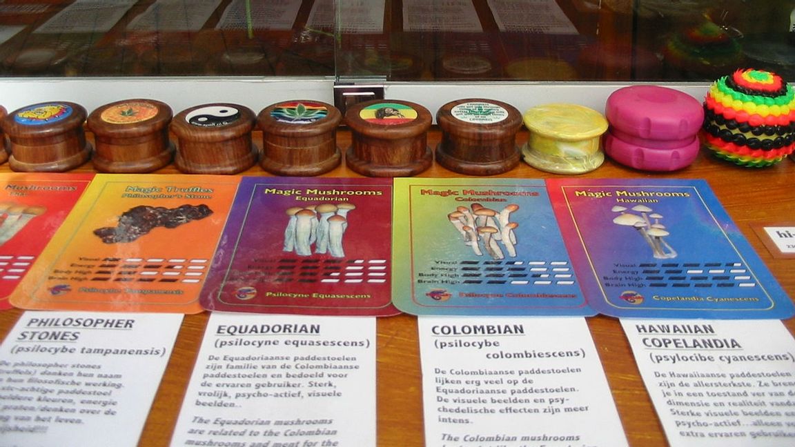 Foto: Ellywa/CC BY-SA 3.0 