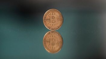 Bitcoin har satt nya rekord flera gånger i år. Arkivbild. Petr David Josek/AP/TT