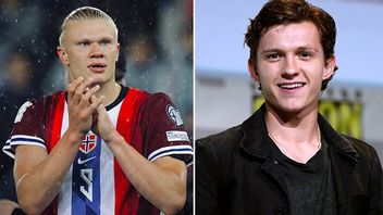Haaland och Holland. Bild: MichaelEmilio/CC BY 4.0/ Gage Skidmore/CC BY-SA 3.0