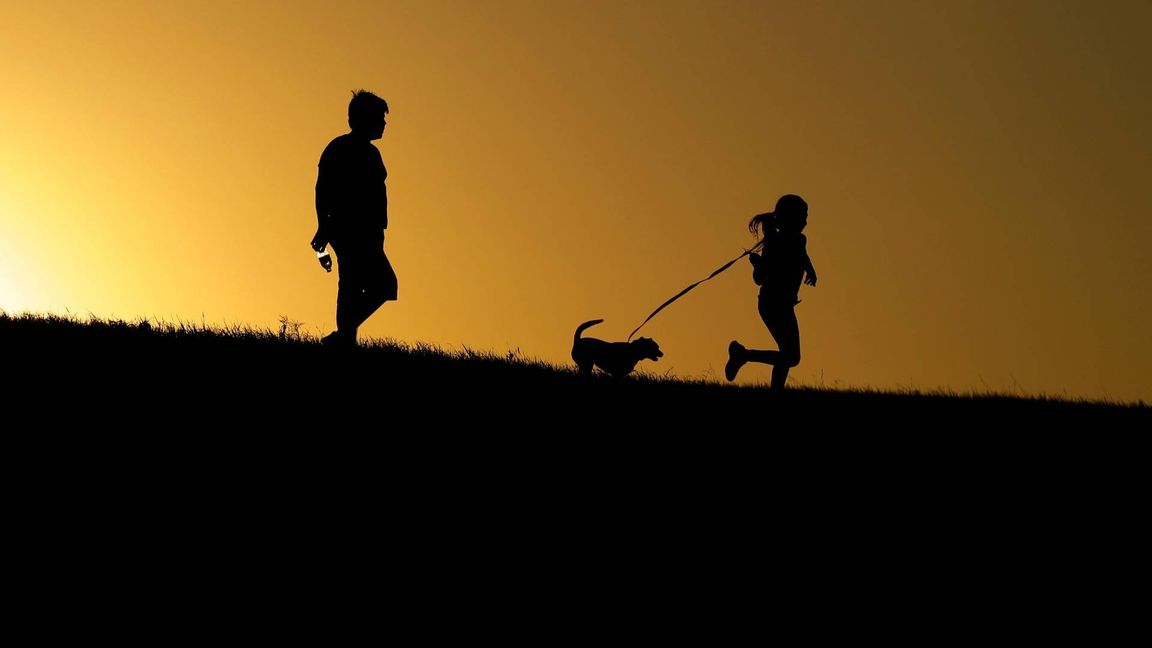 Nu kan unga få lön av kommunen för att gå ut med hunden. Foto: Eric Gay, AP/TT.