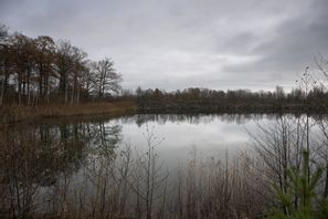 I Falköping där Sveriges enda tidigare urangruva låg är frågan om uranbrytning ett svidande sår och motståndet massivt. Arkivbild. Björn Larsson Rosvall/TT