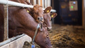 Foto: Fredrik Sandberg/TT