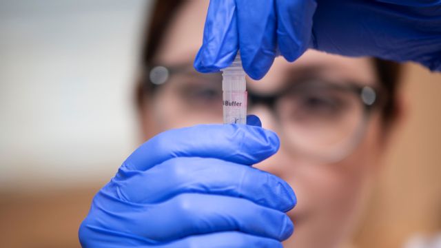 Den brittiska coronamutationen har upptäckts i minst 60 länder. Arkivbild. Foto: Fredrik Sandberg/TT.