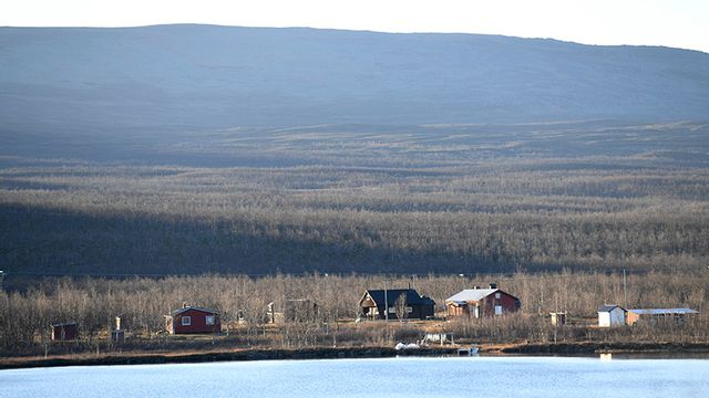 Foto: Fredrik Sandberg/TT. 