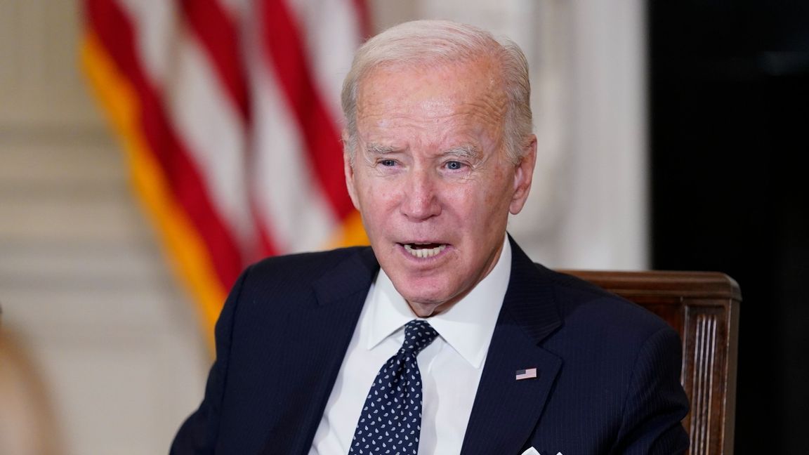 Amerikanske presidenten Joe Biden i Washington. Foto: Susan Walsh/AP/TT