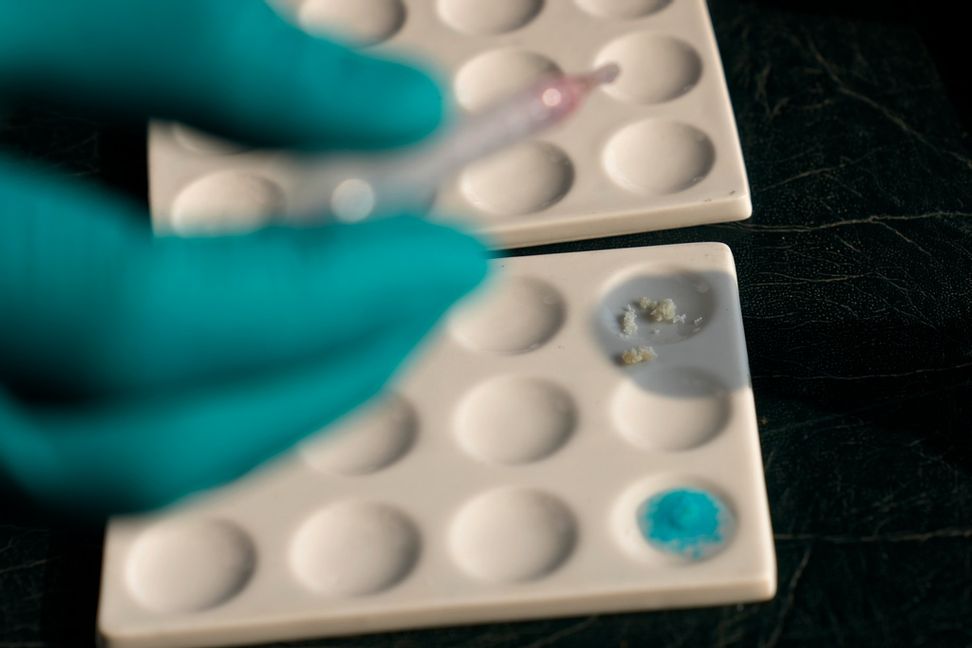 Arkivbild på beslagtaget kokain som testas. Martin Mejia/AP/TT