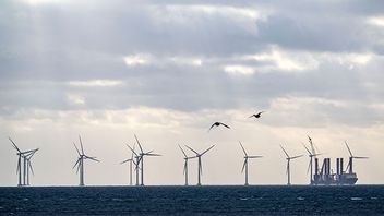 Vindkraftspark i Öresund. Bild: Johan Nilsson/TT