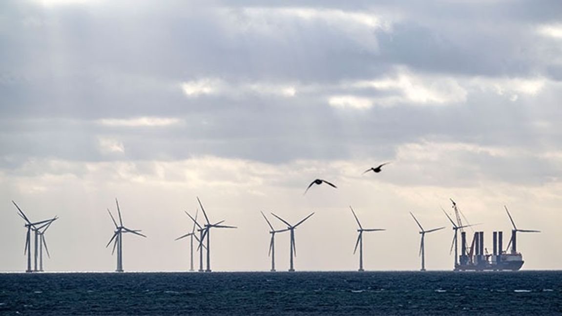 Vindkraftspark i Öresund. Bild: Johan Nilsson/TT