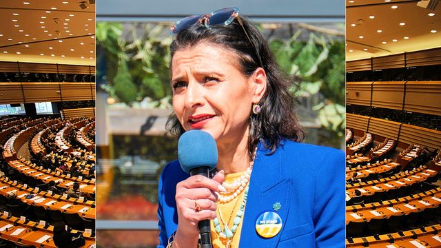 Abir Al-Sahlani vid ett möte med Måndagsrörelsen på Norrmalmstorg i maj 2024. Foto: Frankie Fouganthin (CC BY 4.0) / Sinn Féin (CC BY 2.0) 