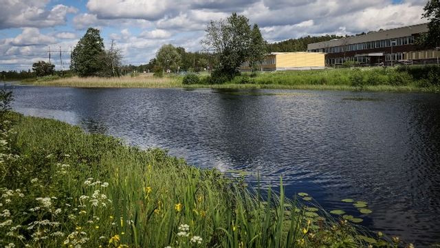 Älven i Hagfors där den försvunne pojken hittades. Foto: Joachim Lagercrantz/TT
