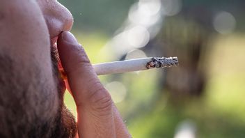 Rökning kan bli en kostsam affär. Foto: Martina Holmberg / TT