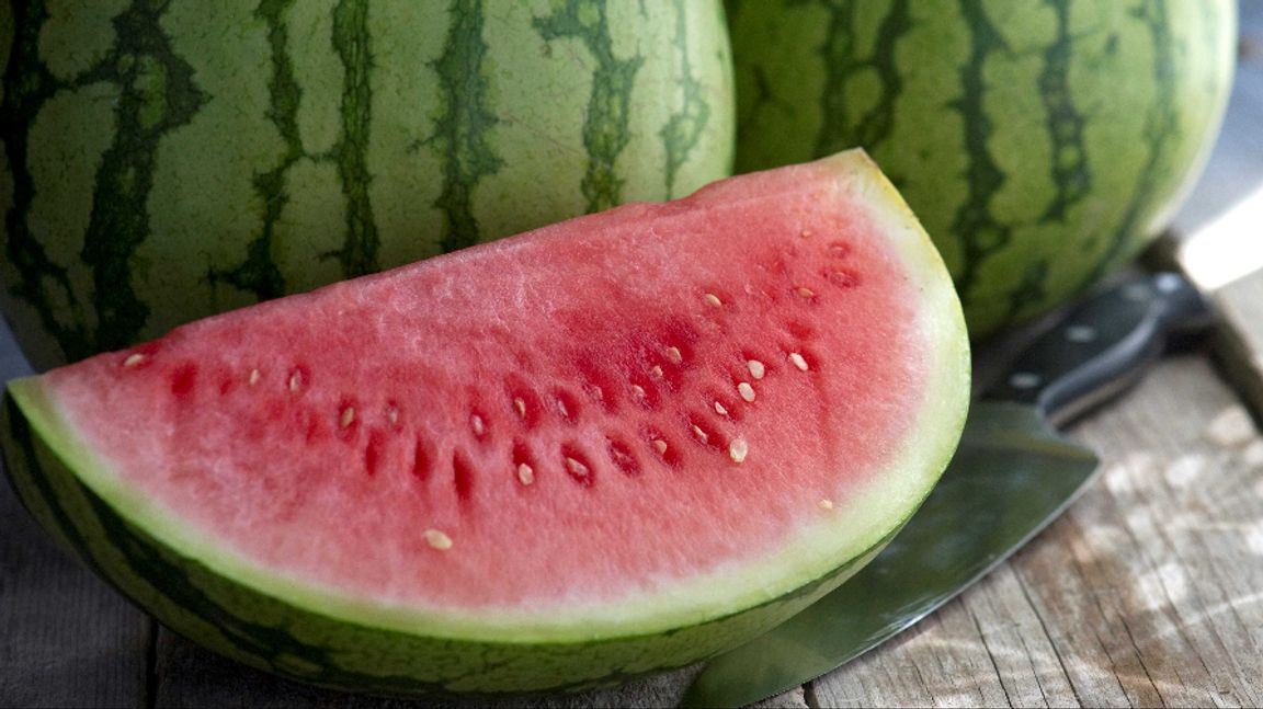 Vattenmelonens förfader hade vitt fruktkött och var mindre söt. Den kan ha kommit från dagens Sudan och kanske började den odlas av nubierna för ungefär 5 000 år sedan. Foto: Leif R Jansson/TT
