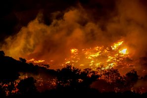 Skogsbränder härjar nära hamnstaden Ierapetra på Kreta. Foto: STR/AP/TT