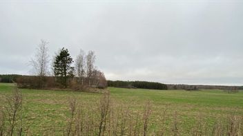 Åkern där hunden blev skjuten. Bild ur förundersökningen.