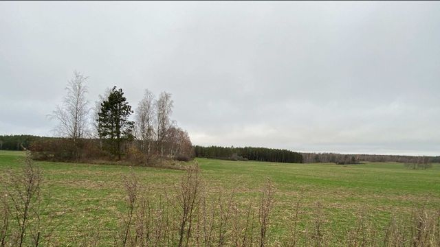 Åkern där hunden blev skjuten. Bild ur förundersökningen.