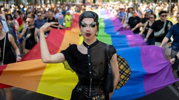 Hur många homosexuella känner igen sig i det här? Foto: Denes Erdos / TT