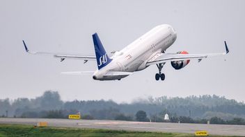 Arkivbild. Foto: Johan Nilsson/TT