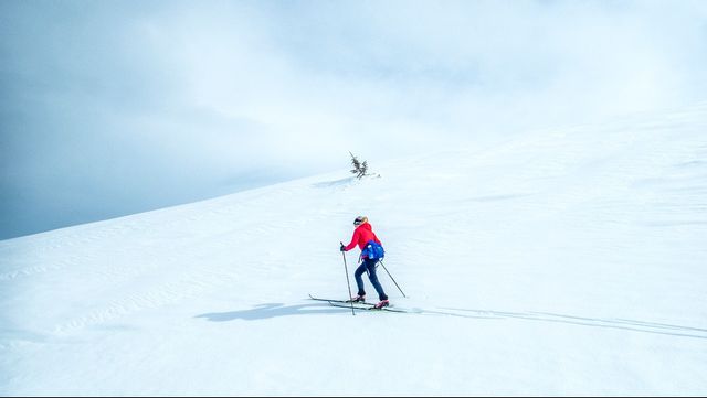 Svag krona gynnar svensk fjällturism