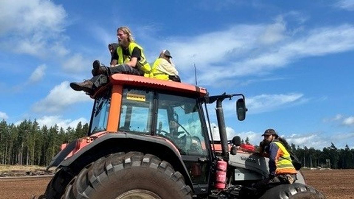 Foto: Svensk Torv