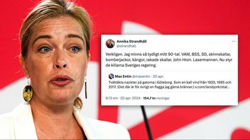 Som före detta minister borde Strandhäll ha en rudimentär känsla för ansvar. Foto: Skärmdump/X