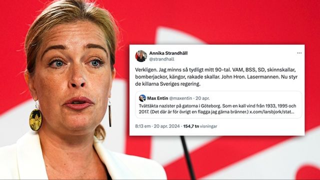 Som före detta minister borde Strandhäll ha en rudimentär känsla för ansvar. Foto: Skärmdump/X