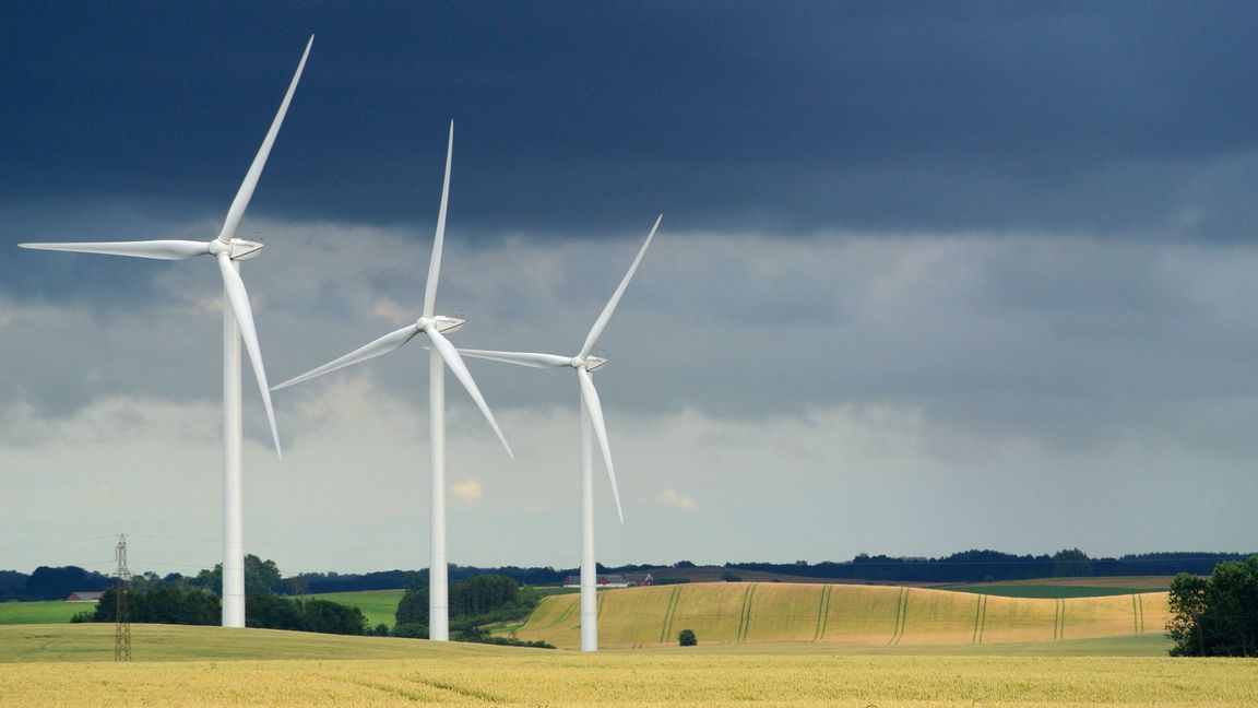 Elproduktionen från vindkraft blev 27,6 TWh under året, jämfört med 19,9 TWh år 2019. Det är en ökning med nästan 40 procent. Foto: Johan Nilsson/TT. 