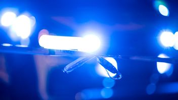 Foto: Johan Nilsson/TT